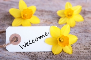 27089195 - a banner with welcome and yellow narcissus in the background